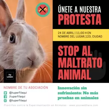 Edita un póster de maltrato animal