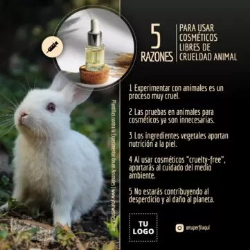 Edita un póster de maltrato animal