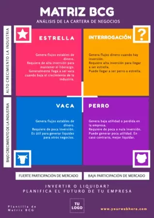 Edita una Matriz del BCG