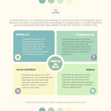 Edita una Matriz del BCG