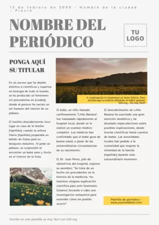 Edita una plantilla de Noticia