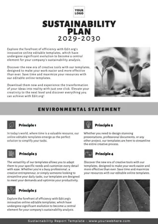 Edit a Sustainability Report format
