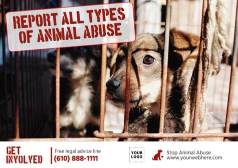 Edit a stop animal abuse poster