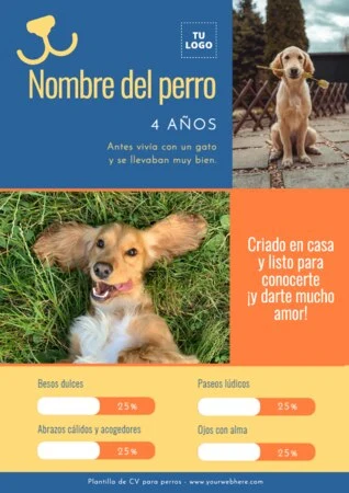 Edita un currículum