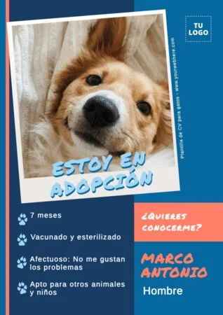 Edita un currículum