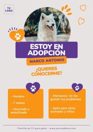 Edita un currículum