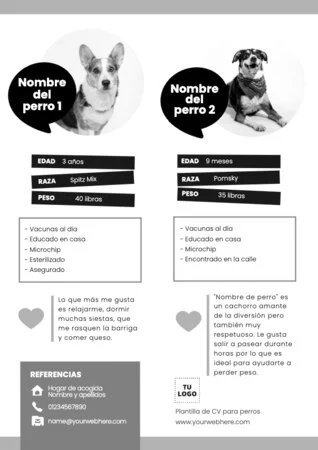 Edita un currículum