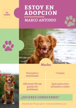 Edita un currículum