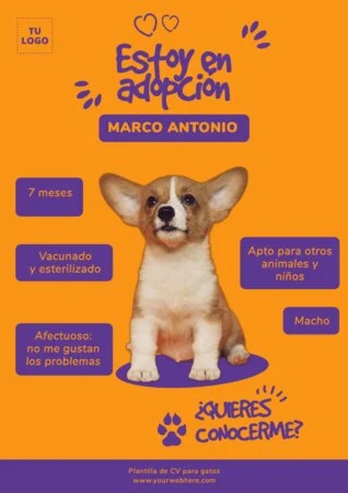 Edita un currículum