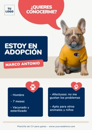 Edita un currículum