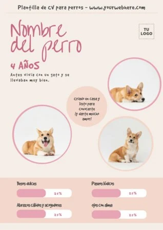 Edita un currículum