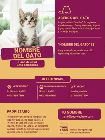 Edita un currículum