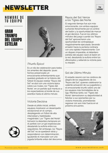 Edita una Newsletter