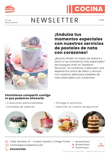 Edita una Newsletter