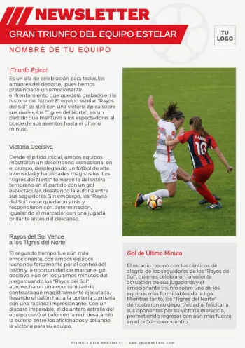Edita una Newsletter