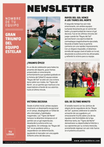 Edita una Newsletter