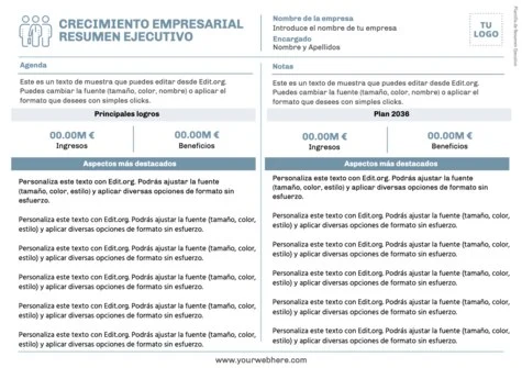 Edita un informe ejecutivo