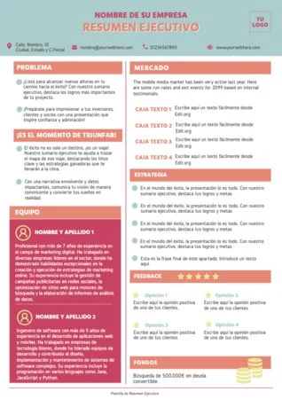 Edita un informe ejecutivo