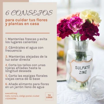Edita un flyer de floristería