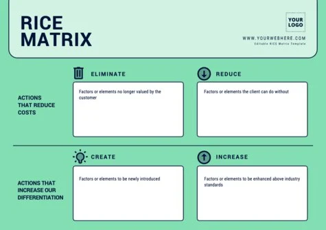 Edit a RICE Matrix