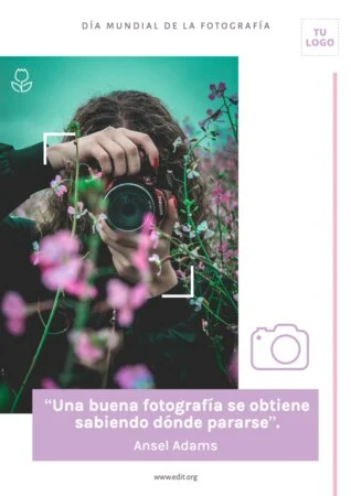 Edita una plantilla para redes sociales
