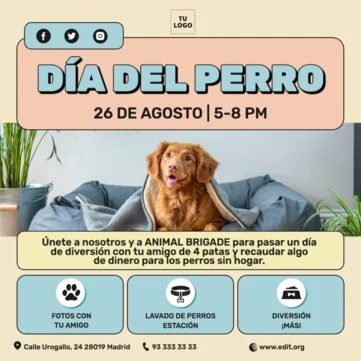 Edita un banner del Día de los Perros