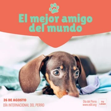 Edita un banner del Día de los Perros