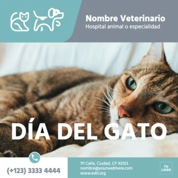 Editar una plantilla del Dia del Gato