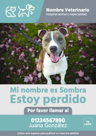 Crear cartel para tu mascota