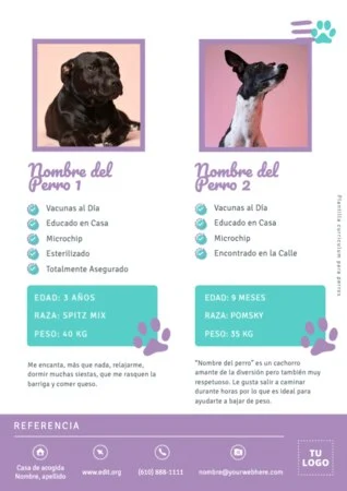 Edita un currículum