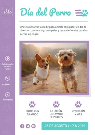 Edita un banner del Día de los Perros