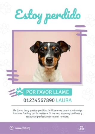 Crear cartel para tu mascota