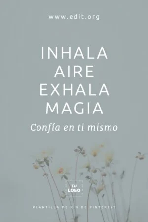 Edita un Pin de Pinterest