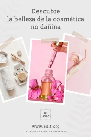 Edita un Pin de Pinterest