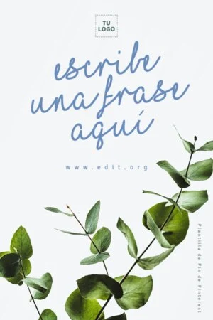 Edita un Pin de Pinterest