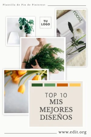 Edita un Pin de Pinterest