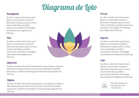 Edita un Mapa de Afinidad