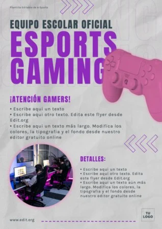 Edita un flyer de eSports