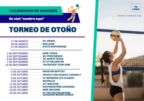 Edita un cartel de voleibol