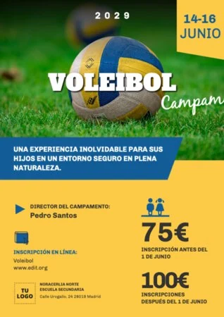 Edita un cartel de voleibol