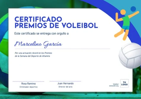 Edita un cartel de voleibol