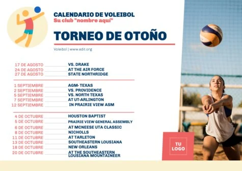 Edita un cartel de voleibol