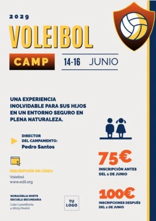 Edita un cartel de voleibol