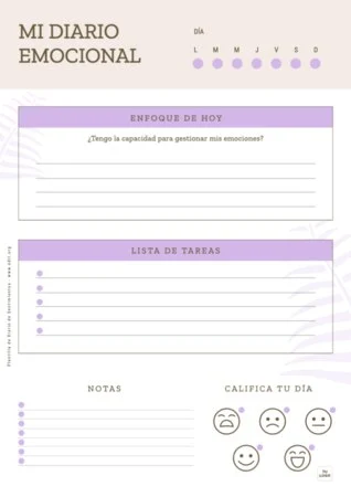 Edita un registro de emociones