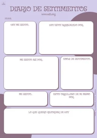 Edita un registro de emociones