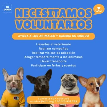 Edita un cartel sobre derechos humanos