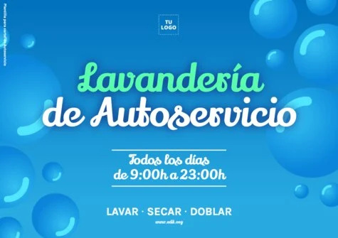 Editar un flyer de limpieza de alfombras
