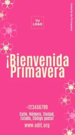 Crear Instagram Stories gratis
