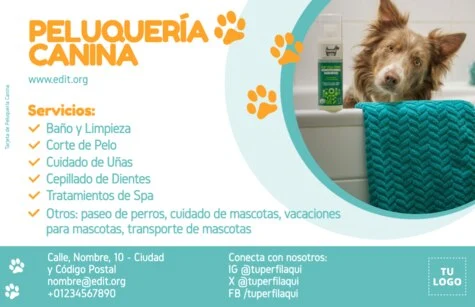 Edita una tarjeta de visita