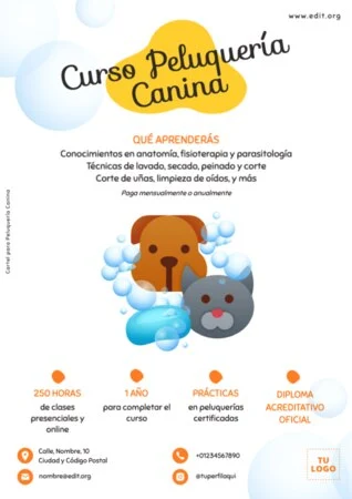 Editar plantillas de clases online